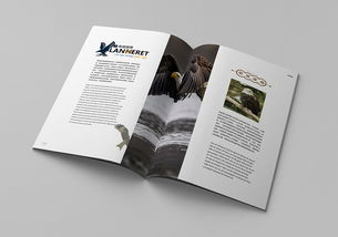 平面書裝設(shè)計的藝術(shù)與實踐——以站酷ID 915694981為例